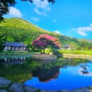 진도 운림산방 여행 가이드