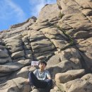 바다정원 이미지