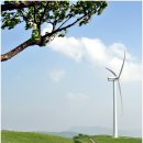 (주)대관령식품 이미지