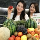 헬로푸드 이미지