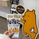 우승목장 | [일본 여행] 훗카이도 삿포로 여행기 #4⛄️(노보리베츠, 다이이치 모토칸, 베어파크)