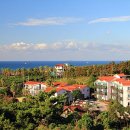 관광 꿈꾸는숲 펜션 이미지