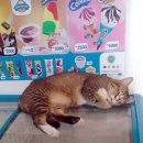 경기도 수원시 팔달구 인계로108번길 이미지