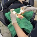 명 치과기공소 이미지