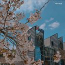 베니아펜션 이미지