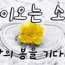 봄, 희망의소리 이미지