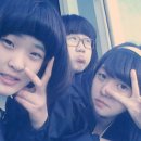 투젯 Daum카페