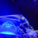 뉴캐슬 pc존 | 메가콘서트 후기