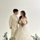 베르겔플라워 이미지