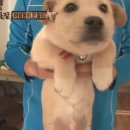 희대농장 이미지