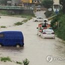 금구천 옥천-7 연합뉴스