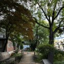 [광주] 광주 감성 숙소 | 호랑가시나무언덕 게스트하우스
