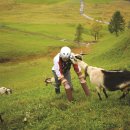 염소연구소 이미지