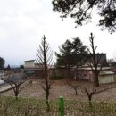 장천초등학교 병설유치원 이미지