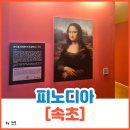 속초 가볼만한곳 아이와 함께 과학·미술 통합 교육! 피노디아 다빈치 뮤지엄 대박 알찬 후기[피노디아]