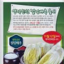 영덕신선절임배추