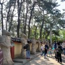 부산 &lt;해동용궁사&gt; 부처님 오신 날 후기 무료주차정보 꿀팁포함