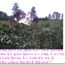 반디농장 이미지