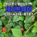 필동물종합병원