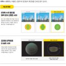 눈편한안경콘택트 이미지