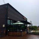 김제호두마루애견카페샵 | [김제 호두마루 애견카페]수영장 이용한 후기