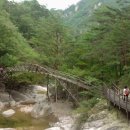 오대산 반찬 이미지