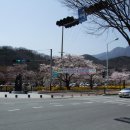 금오산길 이미지