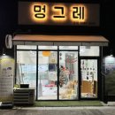 인천강아지분양 멍그레 이미지