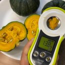 동식농장 이미지