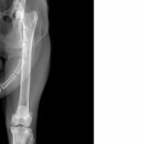 다대동물병원 이미지