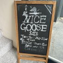 카페 나이스(NICE) | 동성로 카페 :) Nice Goose 다녀온 솔직 후기