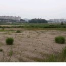 서구-01-51 이미지