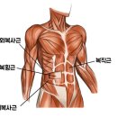 턴핏 이미지