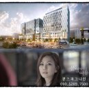 퀸즈헤어샵 - 강서구 | 퀸즈헤어샵
