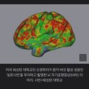 인사이드 루 | 인사이드아웃2 후기와감정의 정리