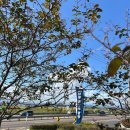 남양 만남의광장 이미지