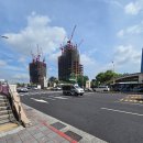 20250620 타이베이 老蔡水煎包(노채수전포)에서 米漿(미장), 青鳥旅行(청조여행)에서 에그롤