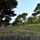 수원-1639 이미지