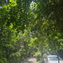 호수중앙교회 | [중앙아시아] 여자 혼자 카자흐스탄-우즈베키스탄 12박 13일 자유여행 - 알마티(4)알마티 시내 / 알마티...