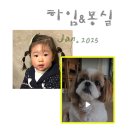 하임이와