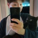 유한회사 다홍 이미지