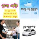 대명관광PC랜드 | 공항 모바일 사전 입국심사/공항 픽업 예약/수하물 배달 예약, 여권번호 변경문제 (첫날부터 디즈니랜드로)