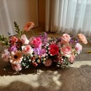 고운동_고운중학교 이미지