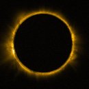 CW-2301-01 이미지