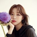 일진란제리 이미지
