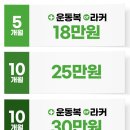 무브 365 기능 운동 아카데미 | 평일 24시간 강남역 헬스, 스포애니 강남역1호점