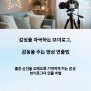 감동을주는영상