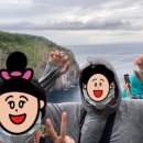 여름 홋카이도 여행9 시레토코 국립공원 트래킹 코스, 히구마를 보러!