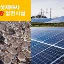 미소 태양광발전소 이미지