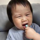 케이엘에스 | [브리스틱] 어메이징한! 유아, 어린이 불소 브리스틱 어메이징 스트로베리 치약